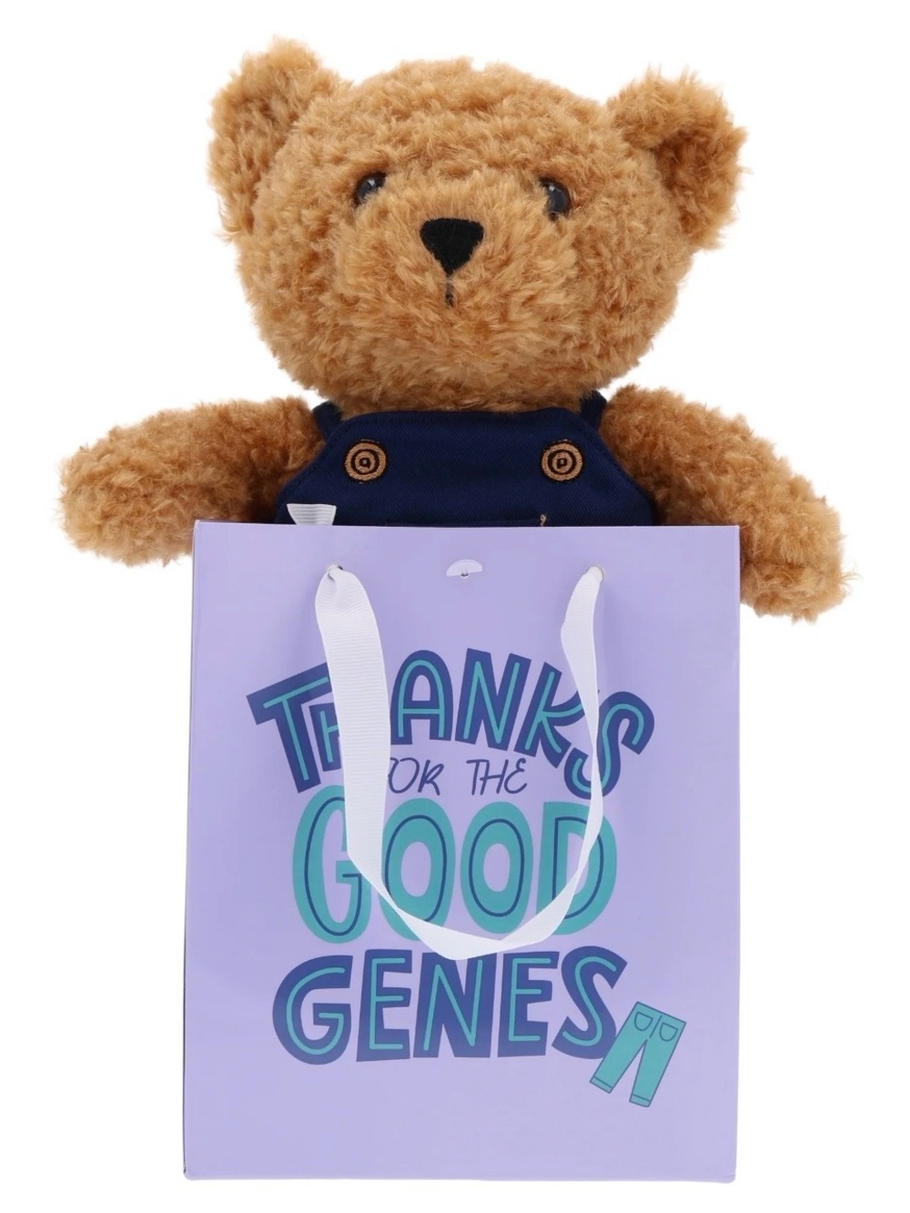 NEW Teddy Bear Plush Thanks For Good Genes Gift Bag Mothers or Fathers Day Gift